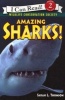 Amazing Sharks! (Paperback) - Sarah L Thomson Photo