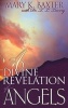 Divine Revelation of Angels (Paperback) - M Baxter Photo