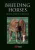 Breeding Horses (Paperback, New) - Mina CGDavies Morel Photo