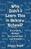 Why Didnt I Learn This in Hebrew School - Excursions Through the Jewish Past and Present (Hardcover) - Eliezer Segal Photo