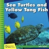 Sea Turtles and Yellow Tang Fish (Paperback) - Kevin Cunningham Photo