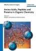 Origins and Synthesis of Amino Acids (Hardcover) - Andrew B Hughes Photo