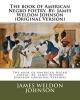 The Book of American Negro Poetry. by -  (Original Version) (Paperback) - James Weldon Johnson Photo