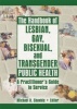 The Handbook of Lesbian, Gay, Bisexual and Transgender Public Health - A Practitioner's Guide to Service (Paperback) - Michael D Shankle Photo