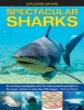 Spectacular Sharks (Hardcover) - Michael Bright Photo