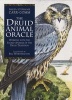 The Druid Animal Oracle (Hardcover) - Philip Carr Gomm Photo