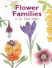 Flower Families - A Happy Families Game (Game) - Christine Berrie Photo