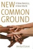 New Common Ground - A New America, a New World (Hardcover) - Amitai Etzioni Photo