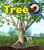 Tree (Paperback) - Richard Spilsbury Photo