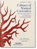 Albertus Seba's Cabinet of Natural Curiosities (English, French, German, Hardcover) - Irmgard Musch Photo