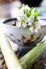 Tea Still Life - Antique Porcelain Teacup, Flowers, and Bamboo Journal: 150 Page Lined Notebook/Diary (Paperback) - Cs Creations Photo