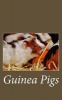 Guinea Pigs - A 5 X 8 Blank Journal (Paperback) - One Jacked Monkey Publications Photo