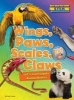 Wings, Paws, Scales, and Claws - Let's Investigate Animal Bodies (Hardcover) - Ruth Owen Photo