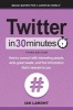 Twitter in 30 Minutes (3rd Edition) - How to Connect with Interesting People, Write Great Tweets, and Find Information That's Relevant to You (Paperback, 3rd) - Ian Lamont Photo