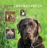 Morelabradorable - Follow the Adventures of Barnaby the Labrador and His Friends (Hardcover) - Villager Jim Photo