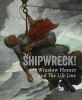 Shipwreck! Winslow Homer and "The Life Line" (Paperback, New) - Kathleen A Foster Photo