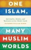 One Islam, Many Muslim Worlds - Spirituality, Identity, and Resistance Across Islamic Lands (Hardcover) - Raymond William Baker Photo