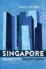 Singapore - Smart City, Smart State (Paperback) - Kent E Calder Photo