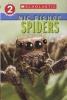 Spiders (Paperback) - Nic Bishop Photo