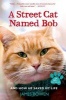 A Street Cat Named Bob and How He Saved My Life (Paperback) - James Bowen Photo