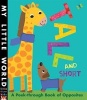 Tall and Short - A Peek-Through Book of Opposites (Board book) - Fhiona Galloway Photo