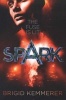 Spark (Paperback) - Brigid Kemmerer Photo