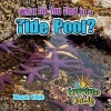 What Do You Find in a Tide Pool? (Paperback) - Megan Kopp Photo