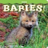 Fox Babies! (Board book) - Steph Lehmann Photo