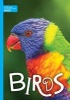 Birds (Hardcover) - Charlie Ogden Photo