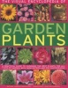 The Visual Encyclopedia of Garden Plants - A Practical Guide to Choosing the Best Plants for All Types of Garden, with 3000 Entries and 950 Photographs (Paperback) - Andrew Mikolajski Photo