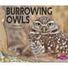 Burrowing Owls (Hardcover) - Melissa Hill Photo