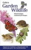 Guide to Garden Wildlife (Paperback) - Richard Lewington Photo