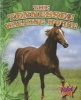 The Tennessee Walking Horse (Hardcover) - Sara Green Photo