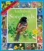 Audubon Songbirds & Other Backyard Birds Picture-A-Day Wall Calendar 2017 (Calendar) - National Audubon Society Photo