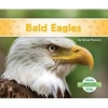 Bald Eagles (Hardcover) - Grace Hansen Photo