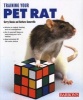 Training Your Pet Rat (Paperback) - G Buscis Photo