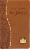 Day by Day with St. Joseph (Paperback) - Joseph Champlin Photo