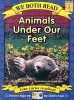 Animals Under Our Feet (Paperback) - Sindy McKay Photo