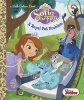 A Royal Pet Problem (Hardcover) - Andrea Posner Sanchez Photo