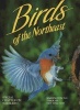 Birds of the Northeast: Washington, D.C. Through New England (Paperback, 5th ed) - Winston Williams Photo