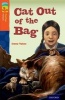 Oxford Reading Tree Treetops Fiction: Level 13 More Pack B: Cat out of the Bag (Paperback) - Irene Yates Photo