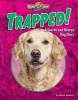 Trapped! - A Search-And-Rescue Dog Story (Hardcover) - Meish Goldish Photo