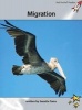 Migration (Paperback) - Suzette Toms Photo