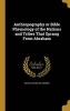 Anthropography or Bible Phrenology of the Nations and Tribes That Sprang from Abraham (Hardcover) - Rachel Bevington Webber Photo