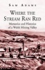 Where the Stream Ran Red - Memories and Histories of a Welsh Mining Valley (Paperback) - Sam Adams Photo