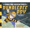 The Amazing Adventures of Bumblebee Boy (Hardcover) - David Soman Photo