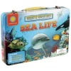 Smithsonian Magnetic Adventures: Sea Life (Other merchandize) - Courtney Acampora Photo