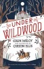 Under Wildwood, Book II - The Wildwood Chronicles (Paperback, Main ed) - Colin Meloy Photo