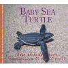 Baby Sea Turtle (Hardcover) - Aubrey Lang Photo