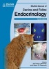 BSAVA Manual of Canine and Feline Endocrinology (Paperback, 4th Revised edition) - Carmel T Mooney Photo